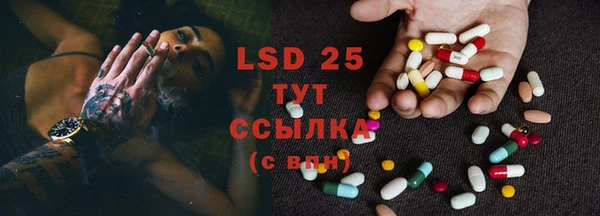 ГАЛЛЮЦИНОГЕННЫЕ ГРИБЫ Белоозёрский